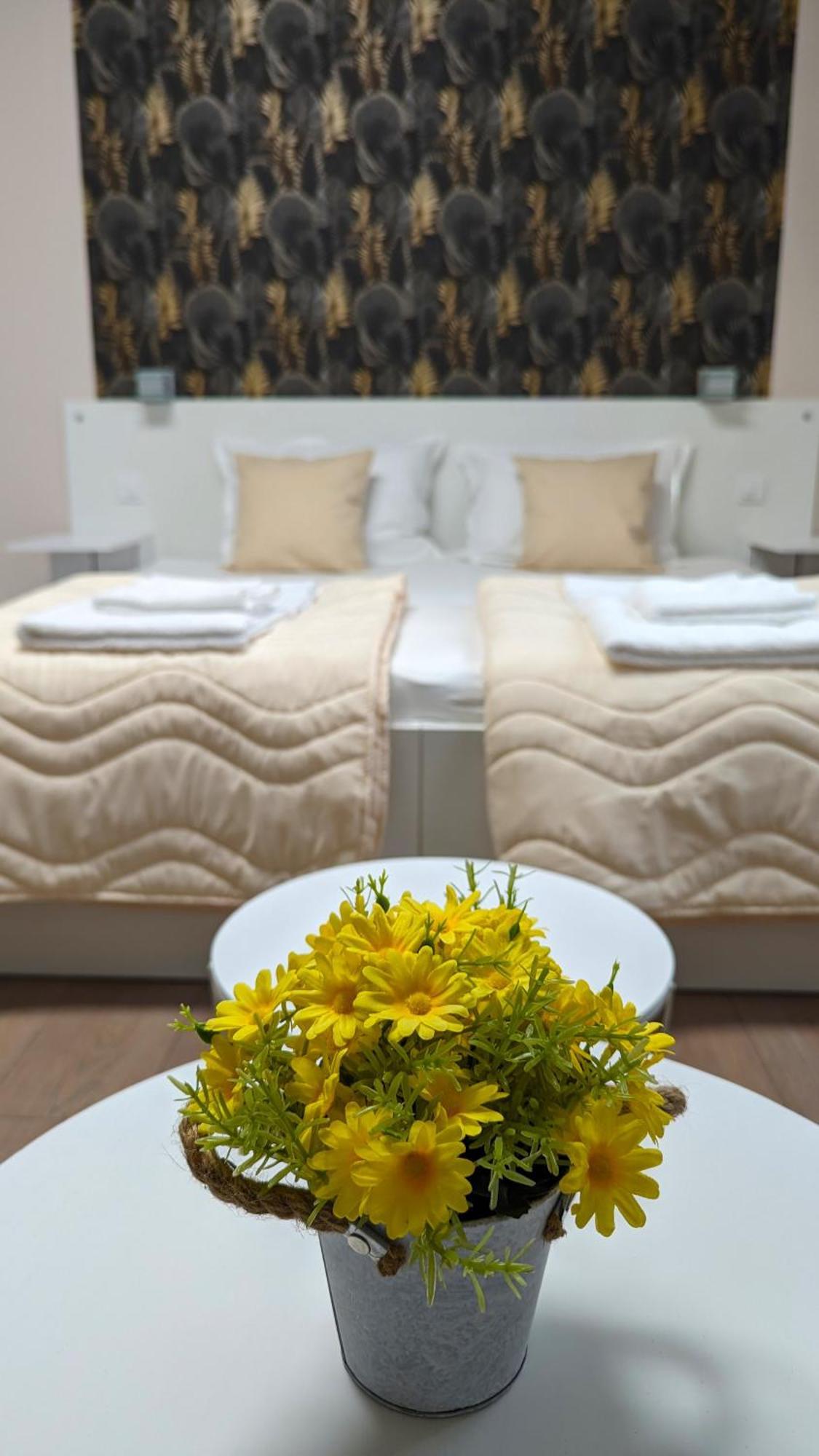 Apartmani Tomic Kladovo Bagian luar foto